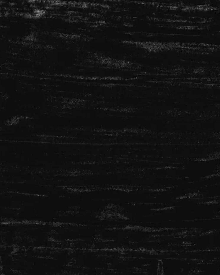 Michael Stars Darby Longline Blazer