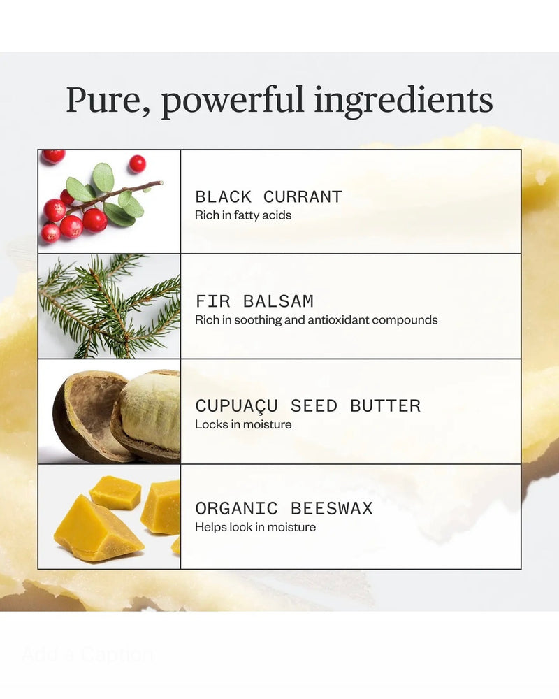 Ursa Major Going Places Lip Balm