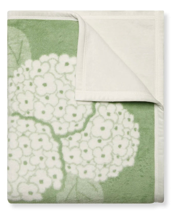 Chappy Wrap Hydrangeas Sage Blanket